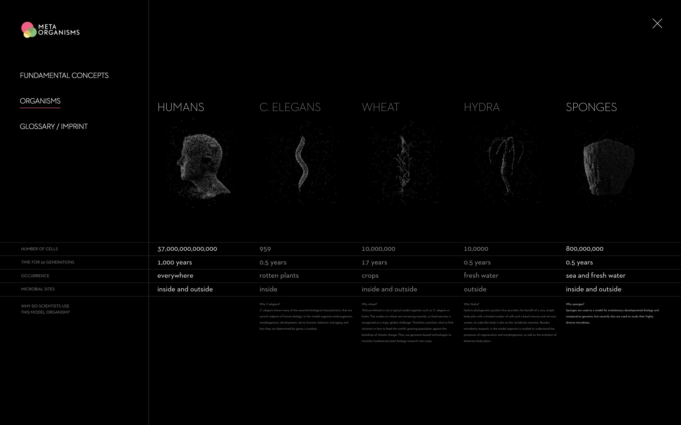 Thematische Übersicht Metaorganismen im Vergleich