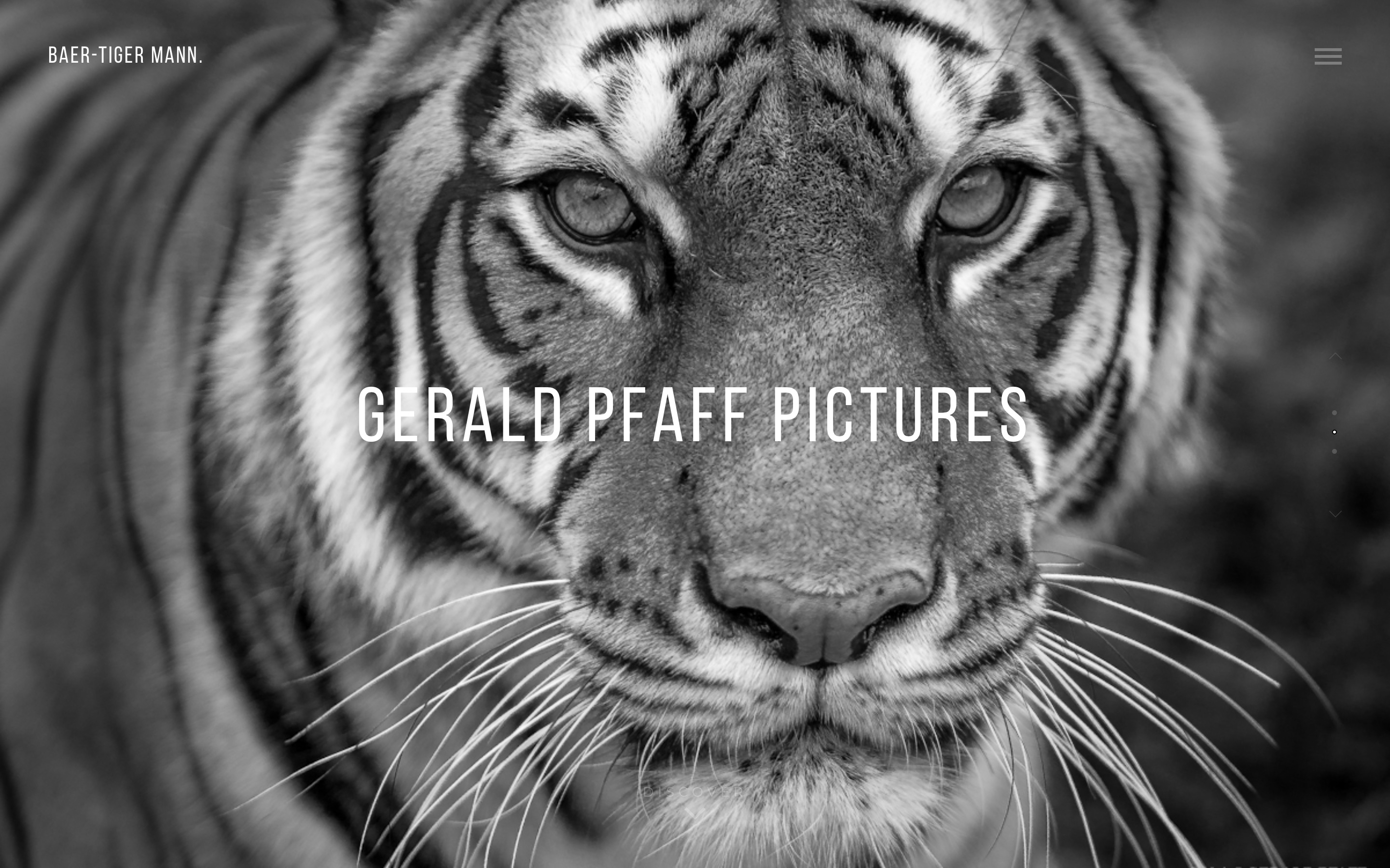 Im Bilde Die Seite steht ganz im Fokus des großen Bildes